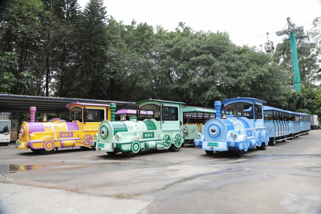 4萬(wàn)公里 ，100%出勤率！宇通觀光車助力長(zhǎng)隆打造沉浸式生態(tài)之旅
